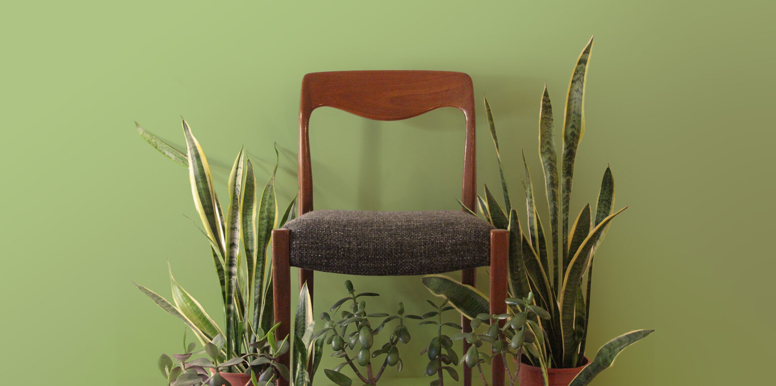 chaise plantes5